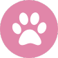 dienst-voor-nagels-knippen-studio-pawfect