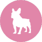 dienst-voor-ontharen-kortharig-studio-pawfect