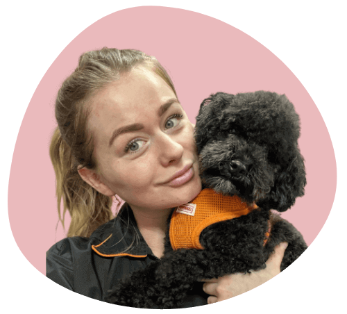 Maaike van Strijdhoven in de hondentrimsalon met een blije hond na een professionele trimbeurt. Zorgvuldige vachtverzorging voor een gezonde en frisse uitstraling