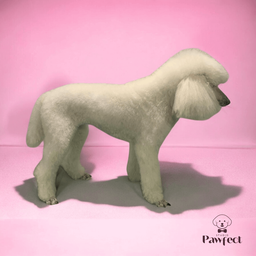 Blije hondeneigenaren met hun verzorgde honden na een behandeling bij Studio Pawfect.