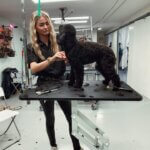 Hond met een frisse en verzorgde vacht na een professionele trimbeurt bij Studio Pawfect, essentieel voor een gezonde vacht en huid.